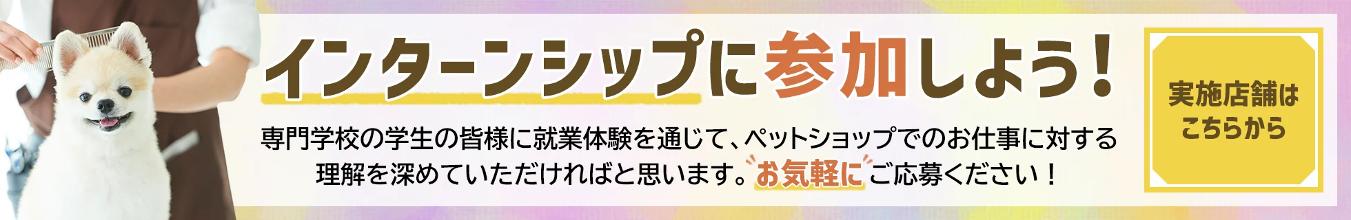 インターンシップに参加しよう!