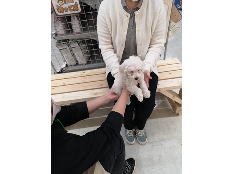 ペットアミ野田店 犬猫生体販売スタッフの募集詳細