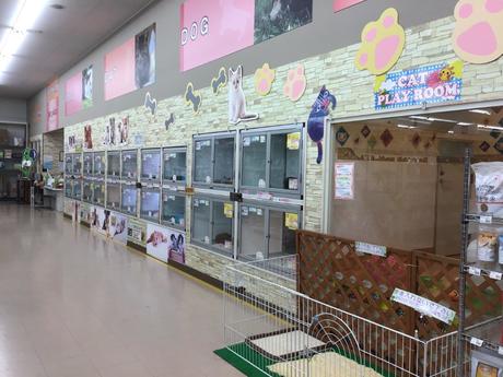 ジャペルパートナーシップサービス株式会社 神奈川県の求人情報一覧