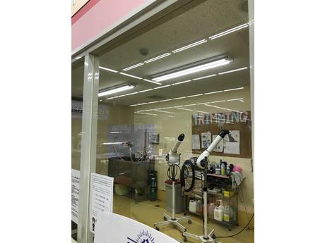 ペットプラザ日進店 トリマーの募集詳細