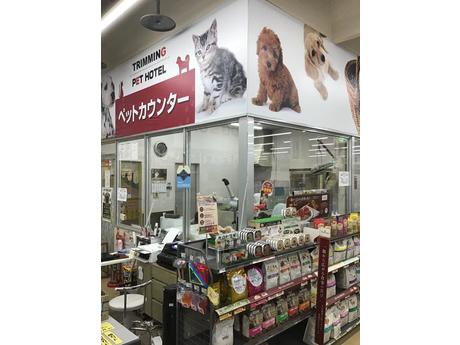 ｄｃｍカーマ阿久比店ペットコーナー トリマーの募集詳細