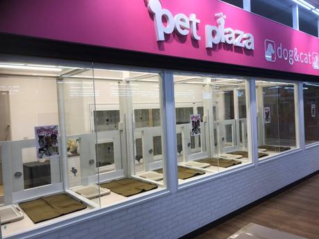 ペットプラザ川口前川店 トリマーの募集詳細