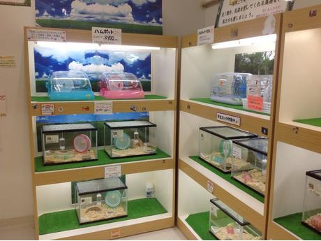 ディスワン小松店 ペットショップ 販売スタッフの募集詳細