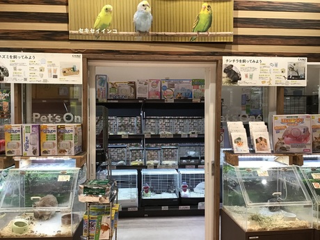 ペッツワン船橋習志野店 鳥 小動物 アクアコーナー 鳥 小動物生体販売スタッフの募集詳細