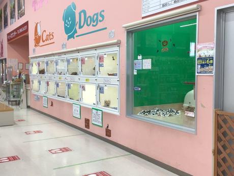 ペットアミ飯塚店 販売スタッフの募集詳細
